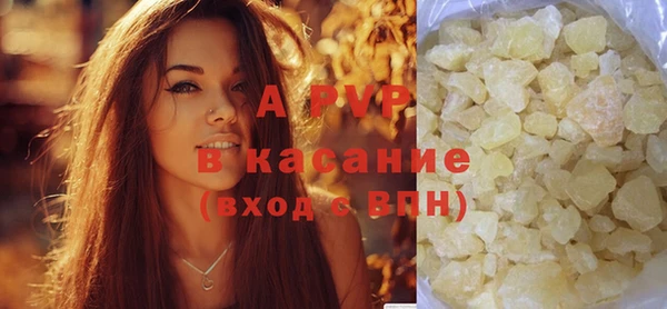 прущие грибы Зеленокумск