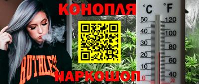 a pvp Абинск