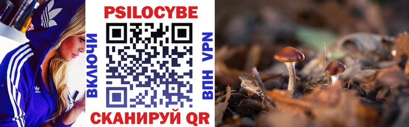 Галлюциногенные грибы прущие грибы  хочу наркоту  Бугульма 