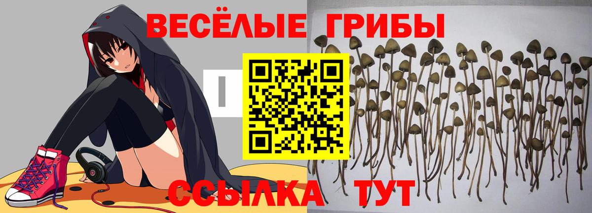Галлюциногенные грибы мицелий Бугульма